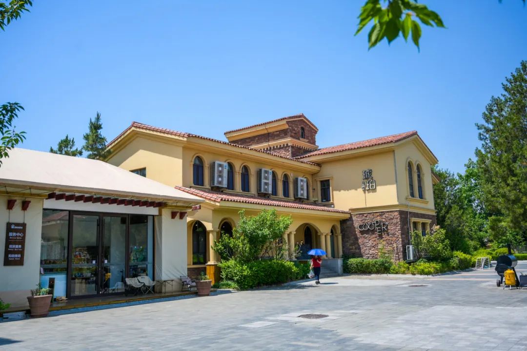 大学生文化旅游季专属优惠掉落ag真人平台第一游戏2025(图5)