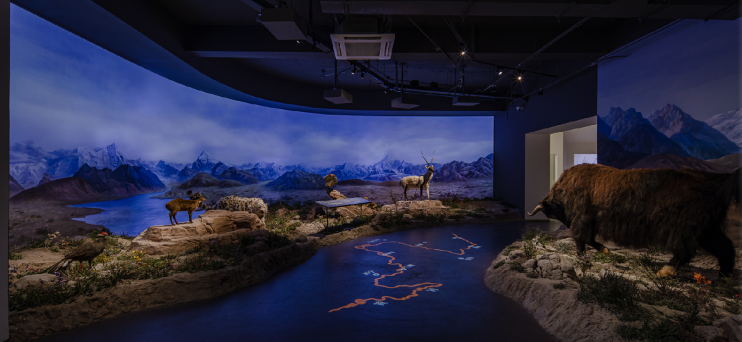 大学生文化旅游季专属优惠掉落ag真人平台第一游戏2025(图8)